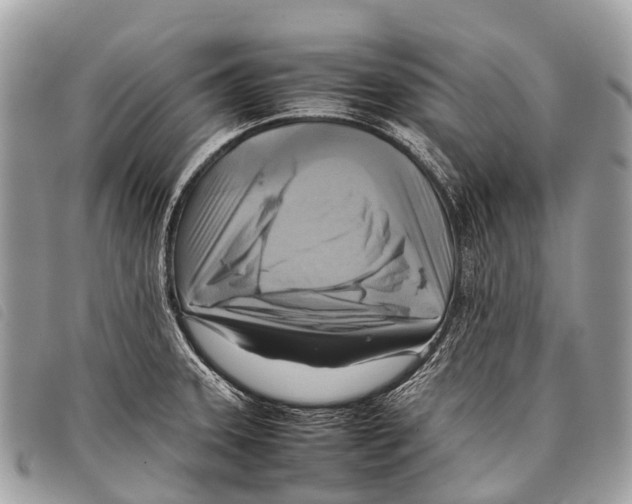 X0000097861331200804111143