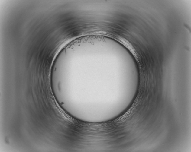 X0000097861332200804111143