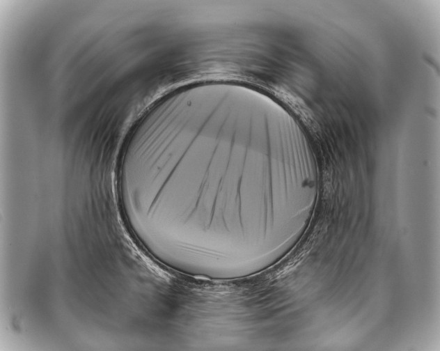 X0000097861334200804111143