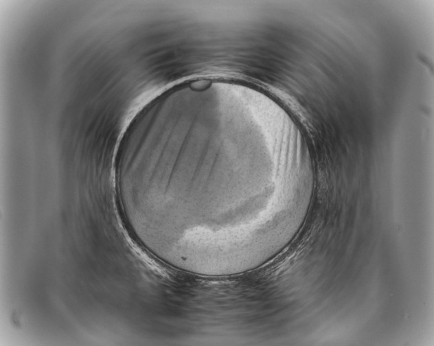 X0000097861335200804111143