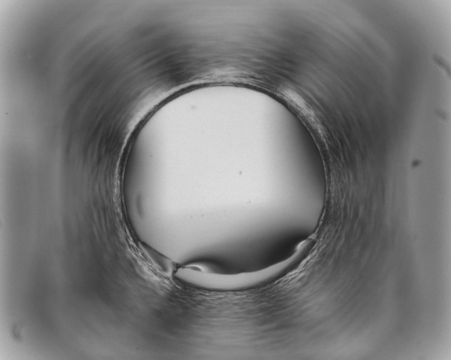 X0000097861336200804111143