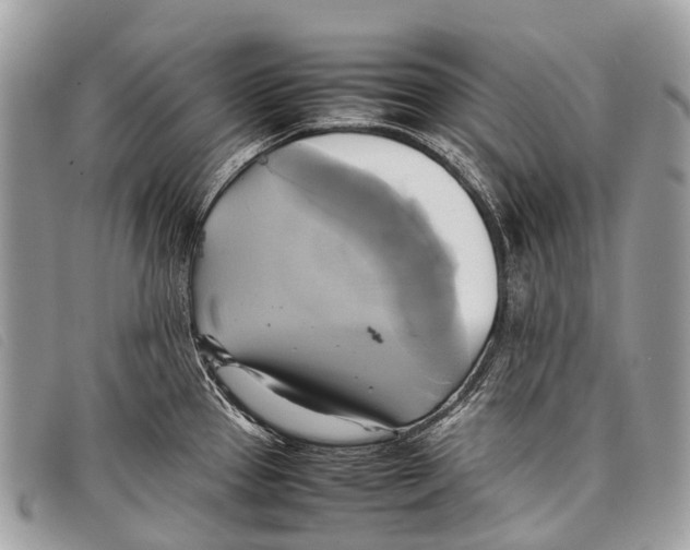 X0000097861337200804111143