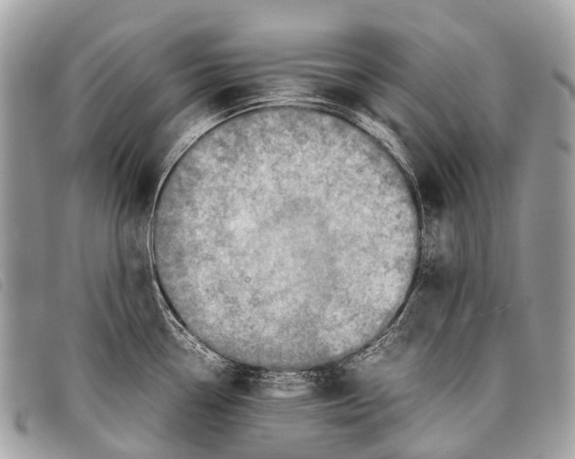 X0000097861338200804111143