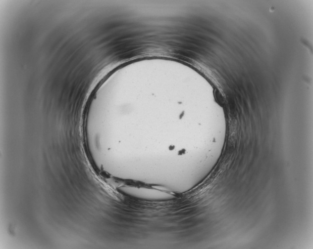 X0000097861339200804111143