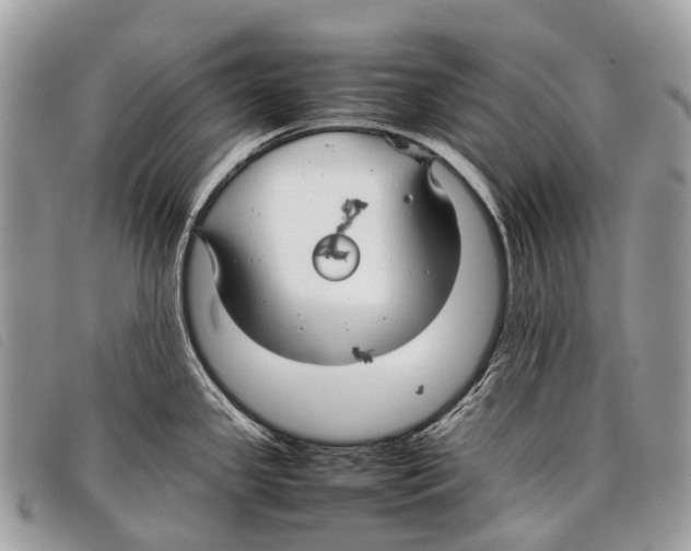 X0000097861341200804111143