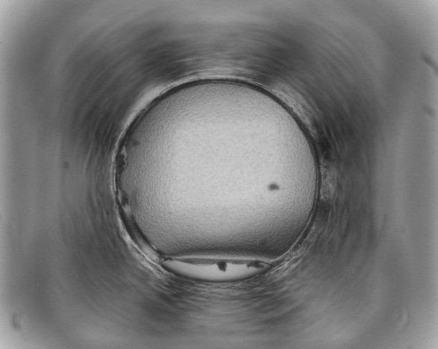 X0000097861342200804111143