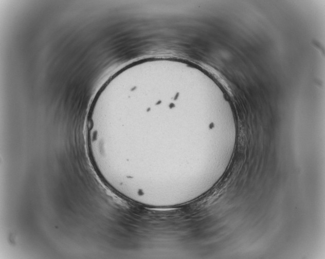 X0000097861343200804111143