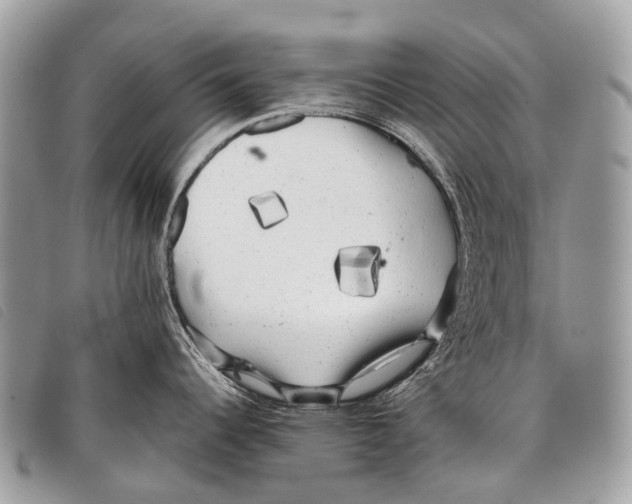 X0000097861344200804111143