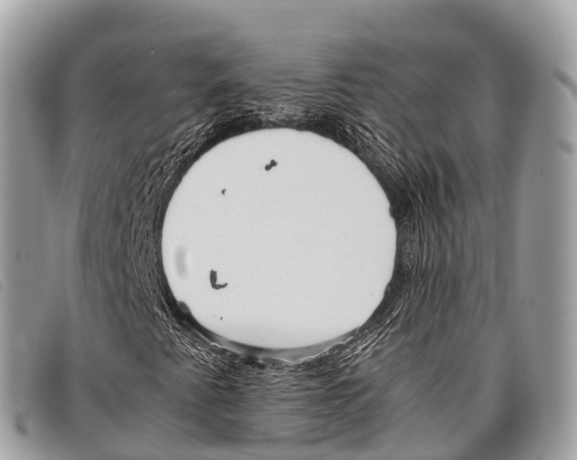 X0000097861345200804111142