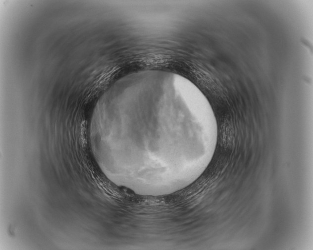 X0000097861346200804111142