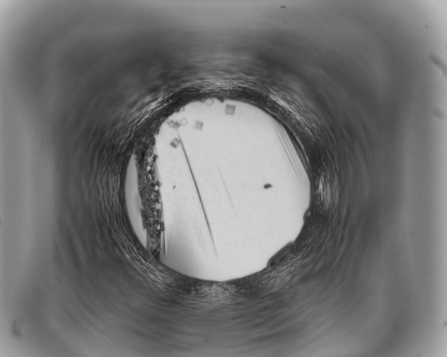 X0000097861348200804111142