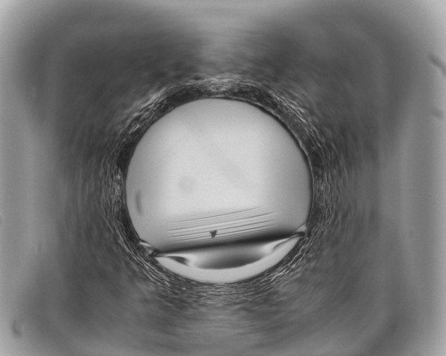 X0000097861349200804111142