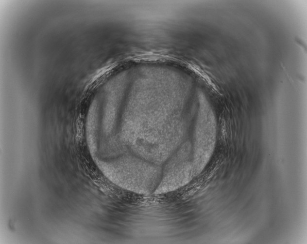 X0000097861350200804111142