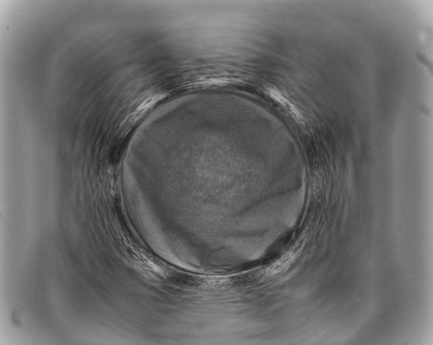 X0000097861353200804111142