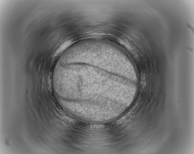 X0000097861354200804111142