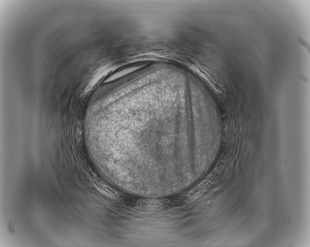 X0000097861355200804111142