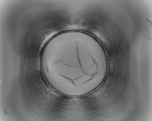 X0000097861358200804111142