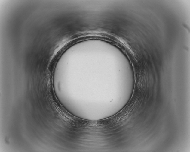 X0000097861360200804111142