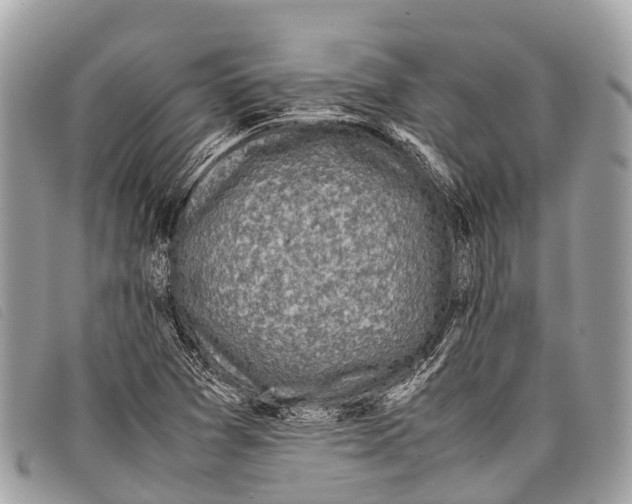 X0000097861361200804111142