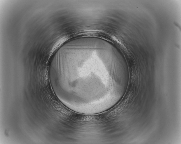 X0000097861362200804111142