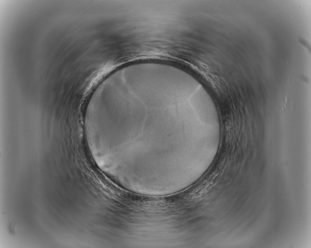 X0000097861363200804111142