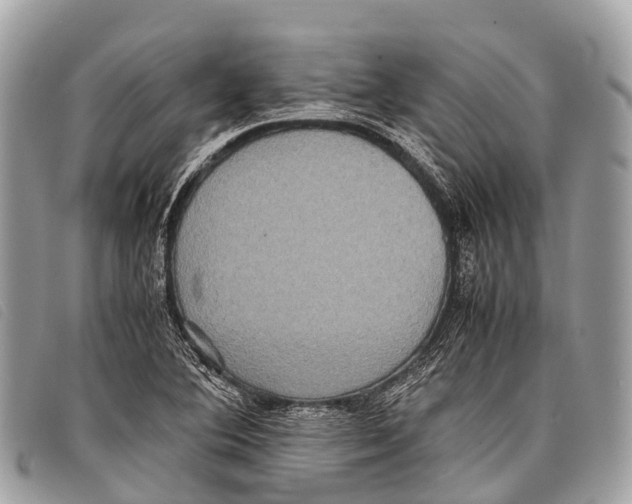 X0000097861364200804111142