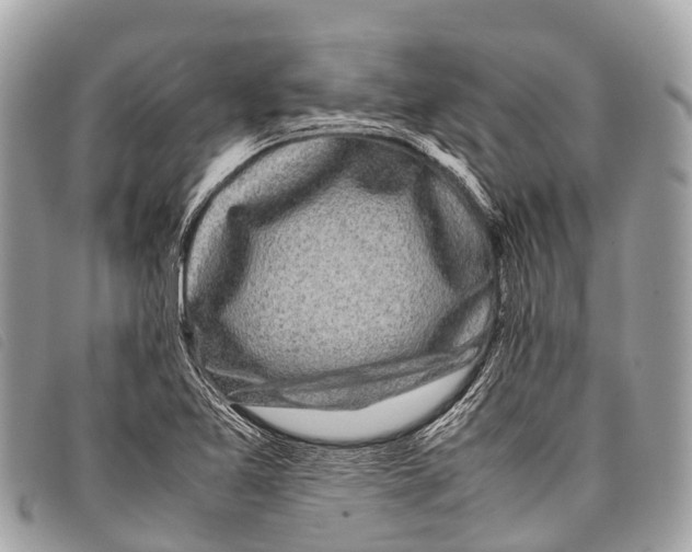 X0000097861365200804111142