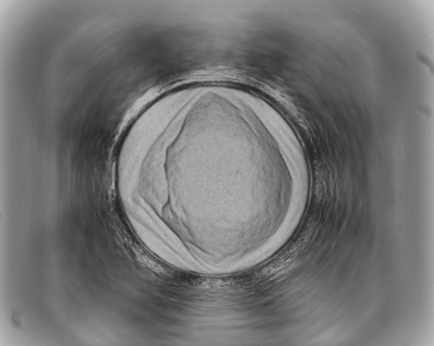 X0000097861366200804111142