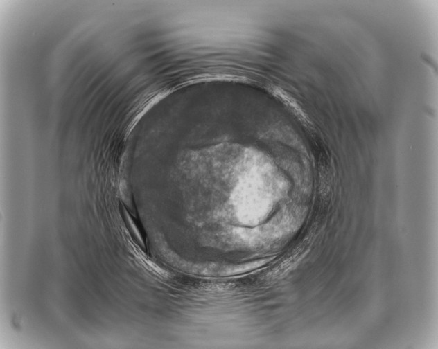 X0000097861369200804111142