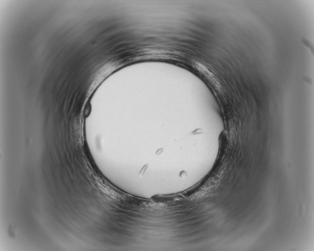 X0000097861370200804111142