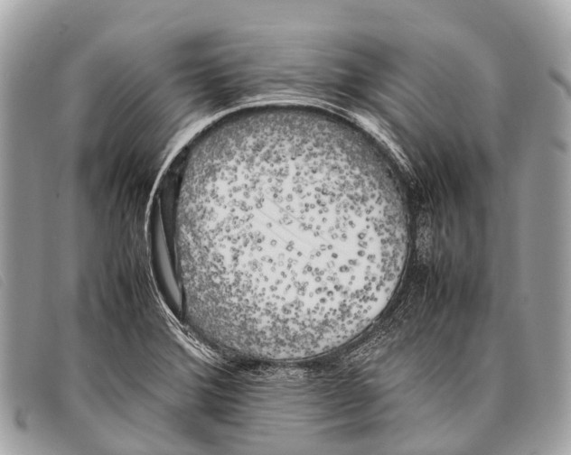 X0000097861372200804111142