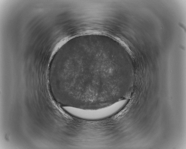 X0000097861373200804111142