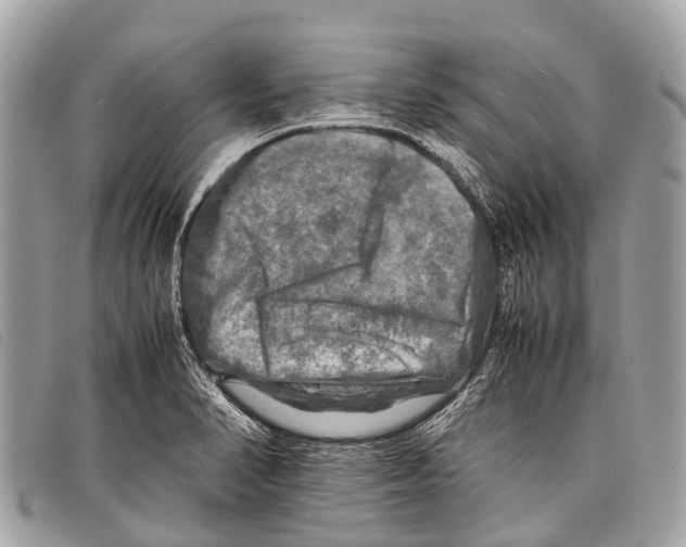 X0000097861374200804111142