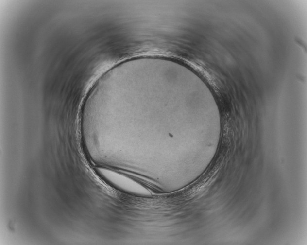 X0000097861375200804111142