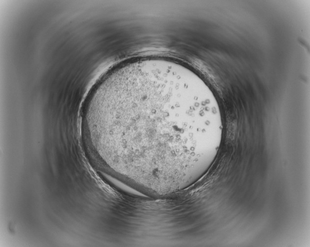 X0000097861376200804111142