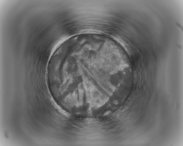 X0000097861379200804111142