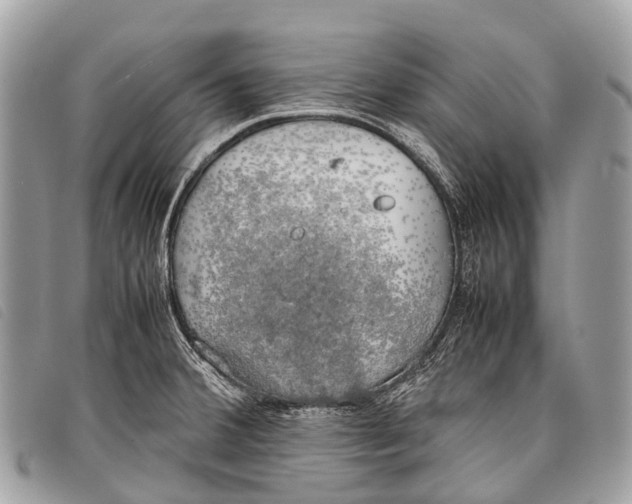 X0000097861380200804111142