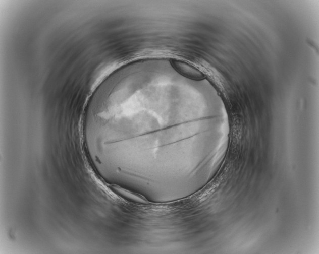 X0000097861382200804111142