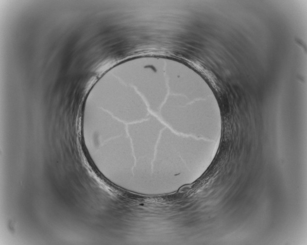 X0000097861383200804111142