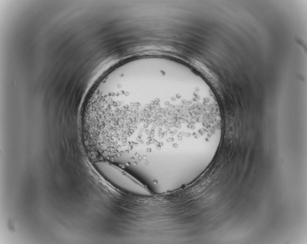 X0000097861384200804111142