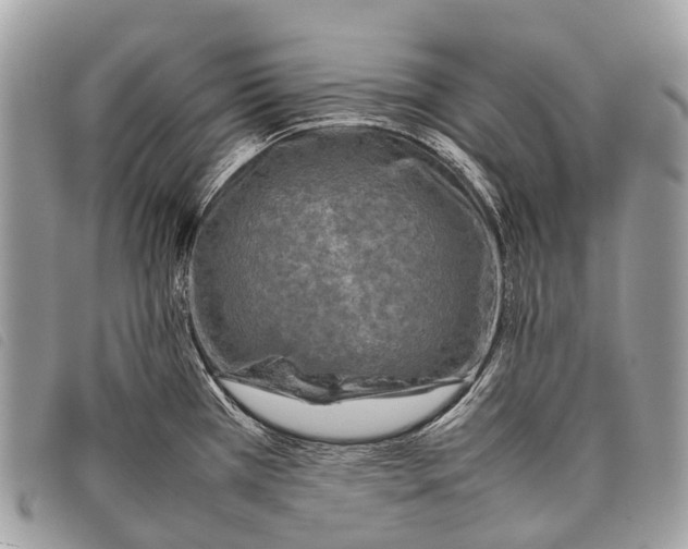 X0000097861385200804111142