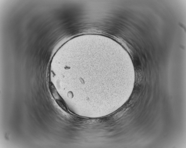 X0000097861387200804111142