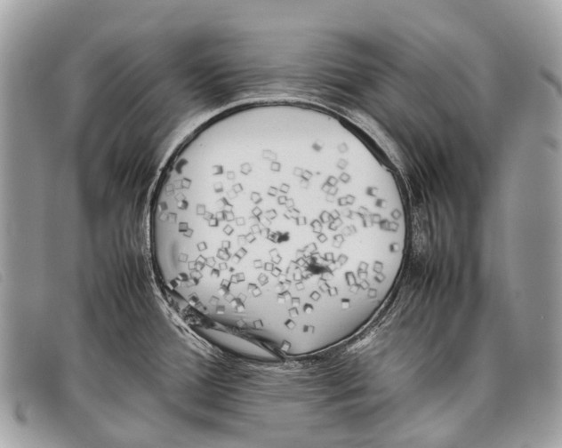 X0000097861388200804111142