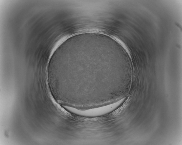 X0000097861389200804111141