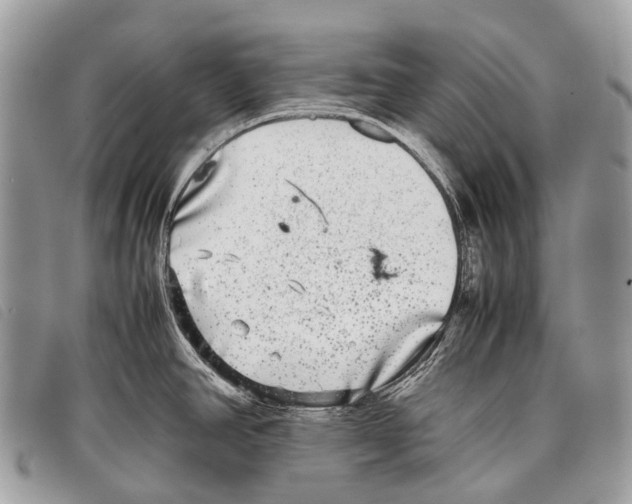 X0000097861390200804111141