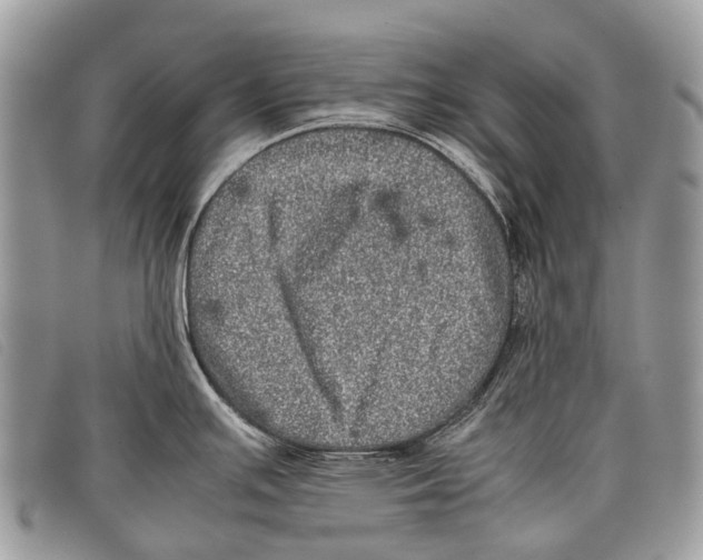 X0000097861391200804111141