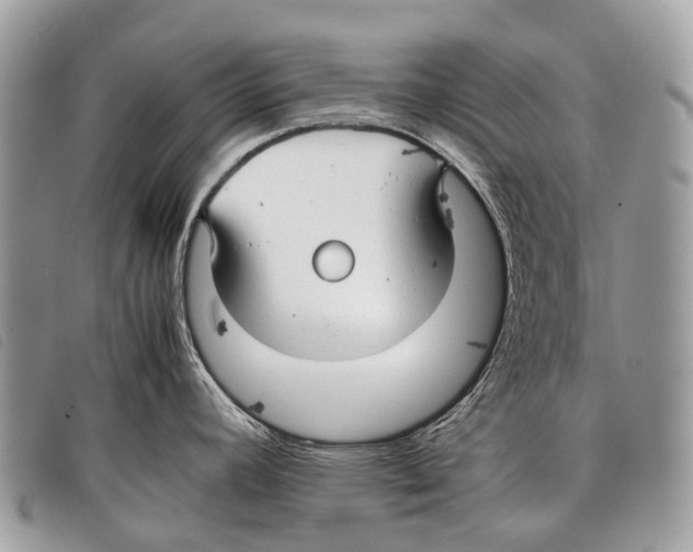 X0000097861392200804111141