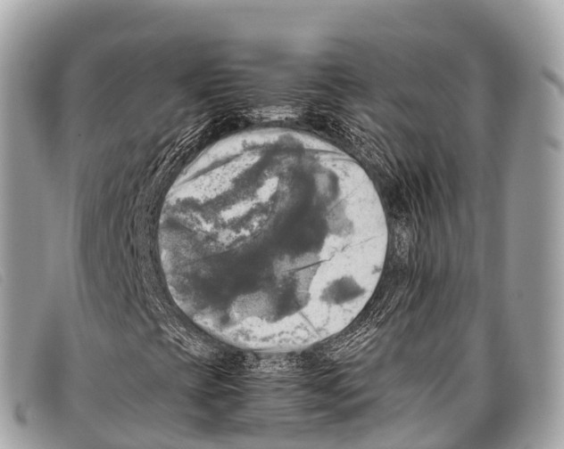 X0000097861393200804111141