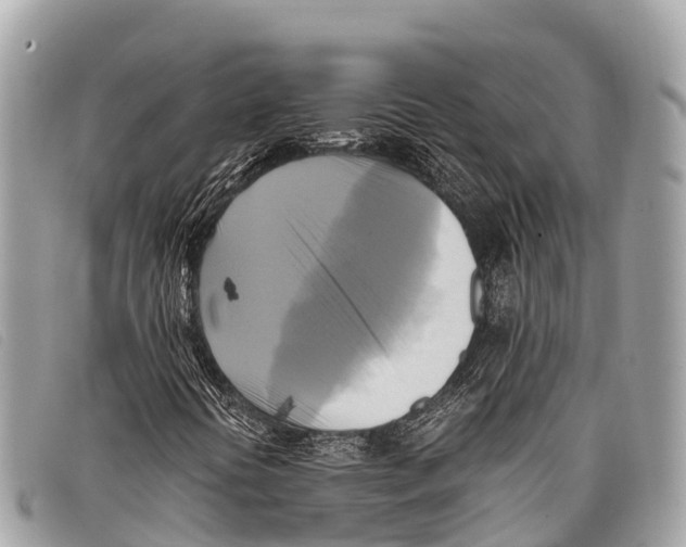 X0000097861394200804111141