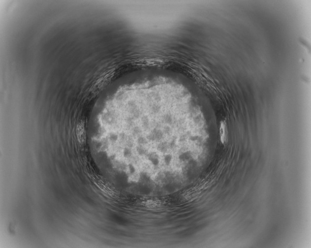 X0000097861395200804111141